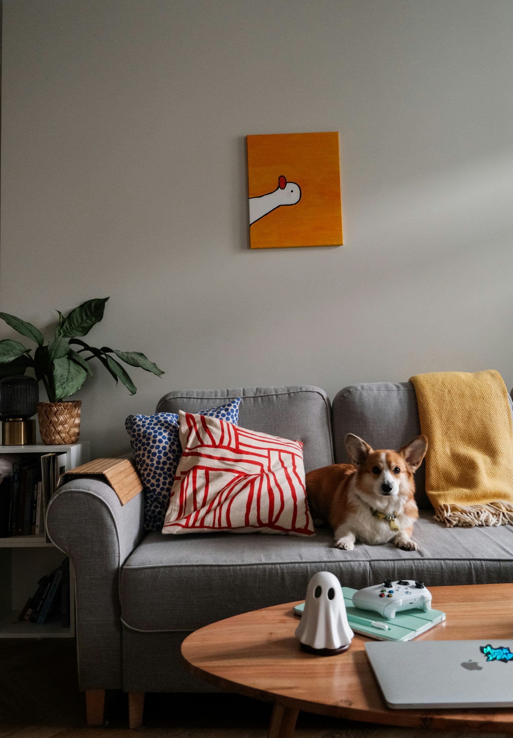 aliaksei lepik md8vrx2wstg unsplash